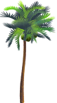 <img40*0:stuff/GrnCocoPalmTreeSM_rev.png>