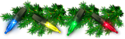 <img75*0:stuff/LightsOnDivHalf_evergreen250_flipped.png>